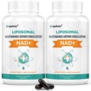 Orgabay Liposomal NAD. Supliment 500 mg, Absorbţie mare, Boost NAD+ cu TMG 250 mg, actual NAD Plus mai eficient decât Nicotinamida Ribozida, suport energie celulară, îmbătrânire sănătoasă 120 Softgels