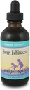 Plante aromatice pentru copii Echinacea dulce (4oz)