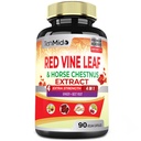 Capsule din frunze de viță-de-vie - cu castan de cal, rădăcină de sfeclă, ghimbir - Suplimentul plantei pentru inimă, Leg Vein & Energy - 90 capsule Vegan pentru 45 zile