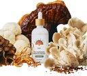 Rainbo - 11:11 Mushroom Tinctură - 11-in-1 Alcool gratuit - Dual Extract Mushroom Blend - Suport Immune cuprinzător, Brain Support, Liquid Lion's Mane & Turkey Tail, Vegan, Non GOM, 3.4 fl oz
