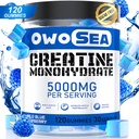 Creatină Monohidrat Gummie pentru bărbați și femei 5000 mg Creatină Monohidrat pe servire pentru sprijin muscular Energie Boost 120 Count Chemable 5g Creatine Supliment de zahăr gratuit Vegan (1 pachet, zmeură albastră)
