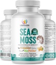 Organic Irish Sea Moss Pastile - Wildcrafted Dr Seabi Inspirat Seamoss Amestec cu Turmeric, Brodock Root & Bladderwrack, imbunatatit cu Pepper negru - 60 capsule