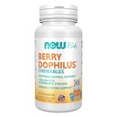 ACUM Alimente Suplimente, BerryDophilusTM cu 2 miliarde, 10 Probiotice Strains, Xylitol îndulcit, Strain verificat, 60 Mestecables, ambalarea poate varia