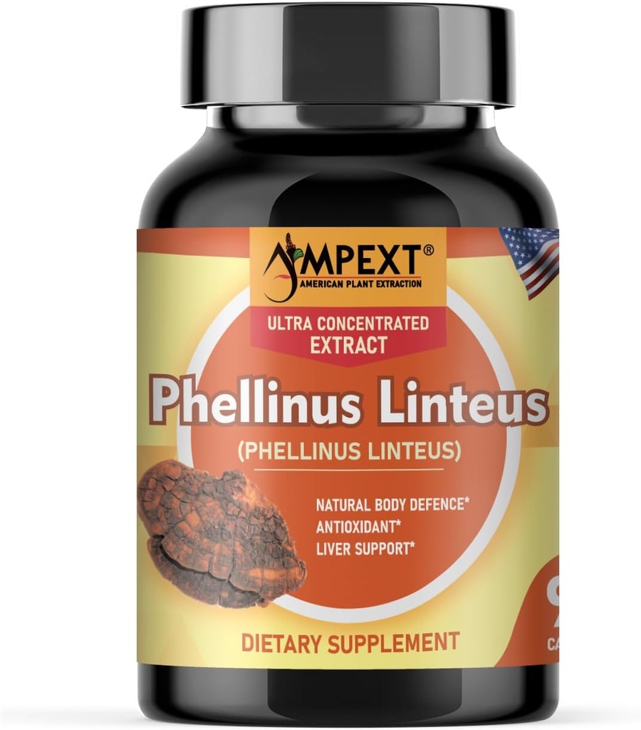 Phellinus linteus Extract de ciuperci - calitate premium, Doar Corpuri fructifere, Antioxidant, Booster de imunitate, Suport hepatic, 90 Veg Caps.