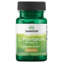 Swanson L. Plantarum - Supliment digestiv Promovarea echilibrului gastro-intestinal & Regularitatea Bowel - Formula naturală pentru a ajuta la reducerea balonare - (30 Capsule vegetale)