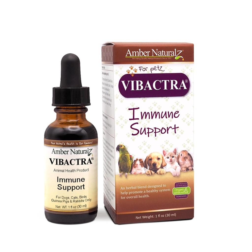 Amber NaturalZ Vibactra Immune Supplement Herbal Supplement pentru câini, pisici, păsări, porci de Guineea, și iepuri de companie Herbal Blend pentru sănătate generală 