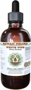 White Pine-Liquid Extract fără alcool, White Pine (Pinus Strobus) Uscată Bark Glicerite naturale Herbal Supplement, Hawaii Pharm, Statele Unite ale Americii 4 fl.oz