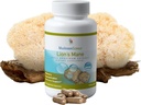 Capsule de ciuperci, suport pentru memorie şi concentrare, extract de spectru complet, supliment pentru adulţi, ciuperci de apă caldă extrase, vegetarian, 300MG, 90 ct