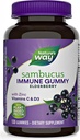 Natures+Way Sambucus Elderberry Gummies, cu vitamina C, vitamina D și zinc, suport imun pentru copii și adulți, 120 gume