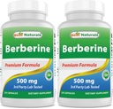 Cele mai bune Naturale Berberine 500 mg 120 capsule - suporta funcţia imună, funcţia cardiovasculară şi gastro-intestinală (120 de numere (pachetul 2))