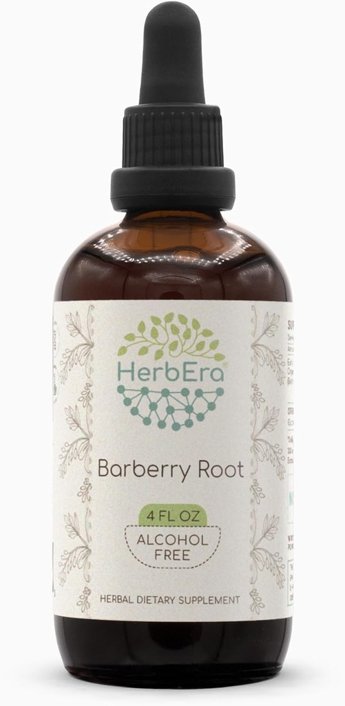 Rădăcină de Barberry B120 Extract de plante fără alcool Tinctură, picături de lichid concentrate Barberry naturale (Berberis Vulgaris) (4 fl oz)