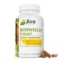 Jiva Botanicals Boswellia Extract capsule 700mg per Serving - Boswellia Serrata Extract Supliment & Black Pepper - Supliment comun de sprijin pentru sănătatea comună normală - 120 capsule (Pachet de 1)