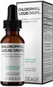 Codaj Clorofile lichid picături Supliment - Vegan Clorofill 50 mg per Serving, Organic Peppermint Flavor Clorofila Drink - non-GMO, Gluten-Free, Vegan - 2 fl oz
