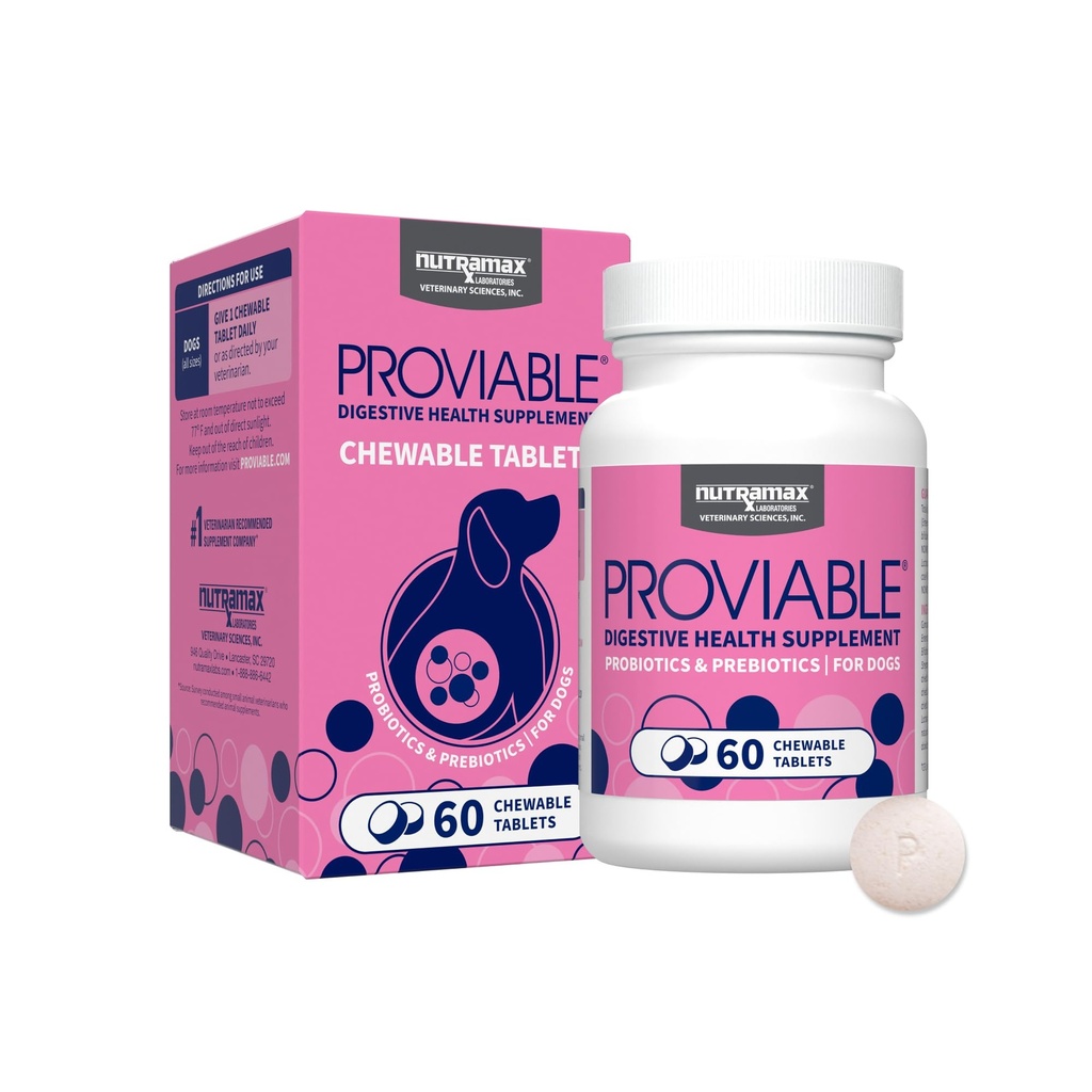 Nutramax Proviable Probiotice pentru câini, Daily Digestive Health Supliment cu mai multe benzi de bacterii, Probiotice câine Plus Prebiotice, 60 comprimate masticabile