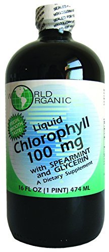 World Organics Clorofila lichid cu Spearmint, 16 Ounce lichid