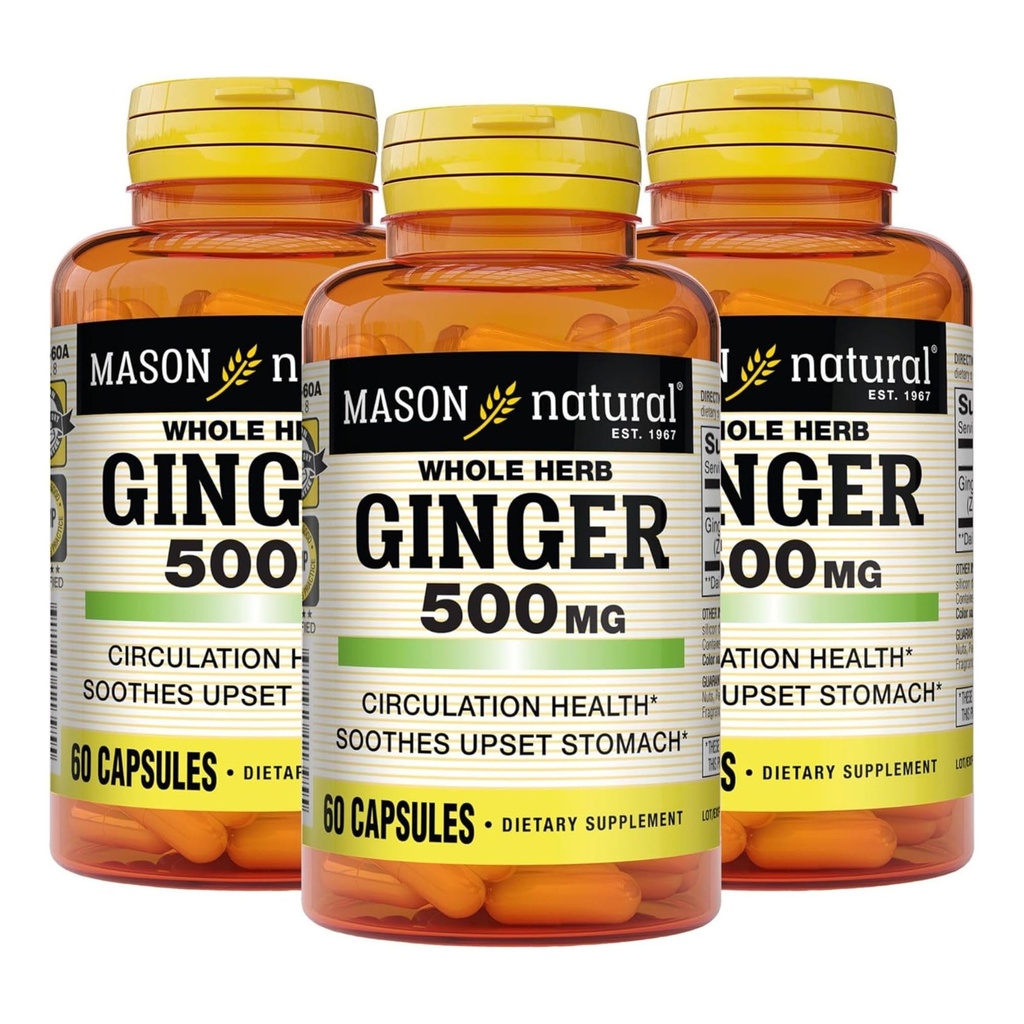 MASON NATURAL întreg Herb Ginger 500 mg, 6 luni de aprovizionare, supliment natural de plante, 60 capsule (3 ambalaj)