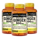 MASON NATURAL întreg Herb Ginger 500 mg, 6 luni de aprovizionare, supliment natural de plante, 60 capsule (3 ambalaj)