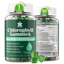 Gume de clorofilă - Super Green cu iarbă de grâu, Moss de mare, ACV & Elderberry nefiltrate, Echinacea, Complex de zinc & vitamina D3, C, E, B12 pentru deodorant natural, Immune & Digestion Support, 60 Chews