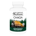 Capsule de apărare gazdă Chaga - Supliment de sprijin sistem imunitar - capsule de ciuperci Chaga pentru suport activ antioxidant - Supliment de ciuperci dietetice - 120 capsule (60 Servings) *