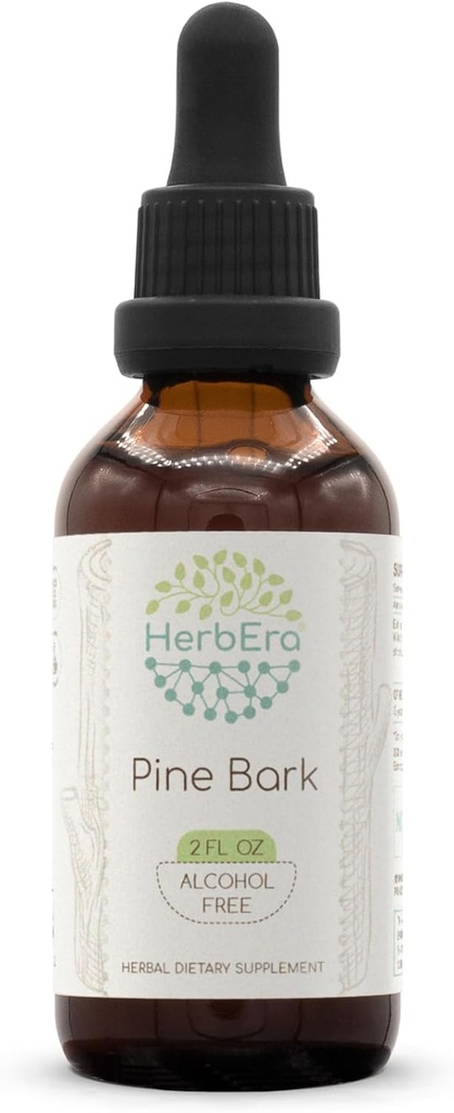 HerbEra Pine Bark B60 Extract de plante fără alcool Tinctură, concentrat picături de lichid natural de pin Bark (Proanthocyanidin) Bark uscat 2 fl oz