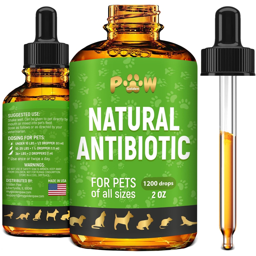 Caine Antibiotice pentru infectie, Tuse, UTI, Alergii, mancarime 