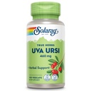 SOLARAY Uva Ursi Leaf 660 mg