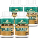 Suplimentul Spermidină 15 MG - 99% Puritate, Absorbție ridicată, 1500 MG Germ de grâu fermentat extract cu zinc & Tiamină, Spermidină pentru bărbați și femei - Reînnoirea celulelor, Aging Defense, Energie, 240 Softgels