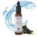 Treasure îngropat Limphatic Harmony Drops - 2oz, 30 Serviri, Limphatic Supliment cu Cleavers, Braddock, Echinacea, și Astragalus