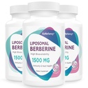 Berberine HCL Supliment 1500mg - Biodisponibilitatea mare Capsule lipozomale Berberine pentru femei si barbati, Activator AMPK pentru sanatate cardiovasculara, Zahar-Free, Non-GMO,180 Softgels