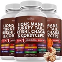 NOU AGE Lions Coamă Ciuperca Supliment cu Turcia Coada Reishi Cordyceps Chaga cu root marshmallow 180 Count