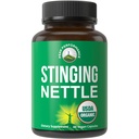 USDA Organic Stinging Nettle Vegan Capsule realizate cu Stinging Nettle Leaf pulbere pentru prostata, parul de crestere, alergie. Mai bine decât rădăcină sau extract de semințe. Suplimente Herb pe bază de plante, 60 pastile