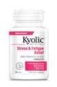 Kyolic Aged Usturoi Extract Formula 101, Stres și Oboseală Relief, 100 comprimate.