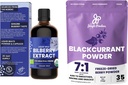 Pudre de junglă Extract sălbatic de bilberry pentru ochi USDA organic 3.4oz Blackcurrant pulbere Bundle Freeze Black Currant extract uscat pentru Smoothies