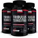 Force FACTOR Tribulus Terrestris pentru bărbaţi, 3-Pack, Tribulus Testosteron Booster pentru bărbaţi, Barbat Vitality Supliment, Tribulus Extract & Ingrediente naturale pentru absorbţie superioară, 1000mg, 180 capsule