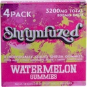 Nootrop Gummy 3200 mg - Lion's Mane, Reishi, Chaga, and Cordycep Nootropic Tripee Mushroom Blend (4, Pepene verde)