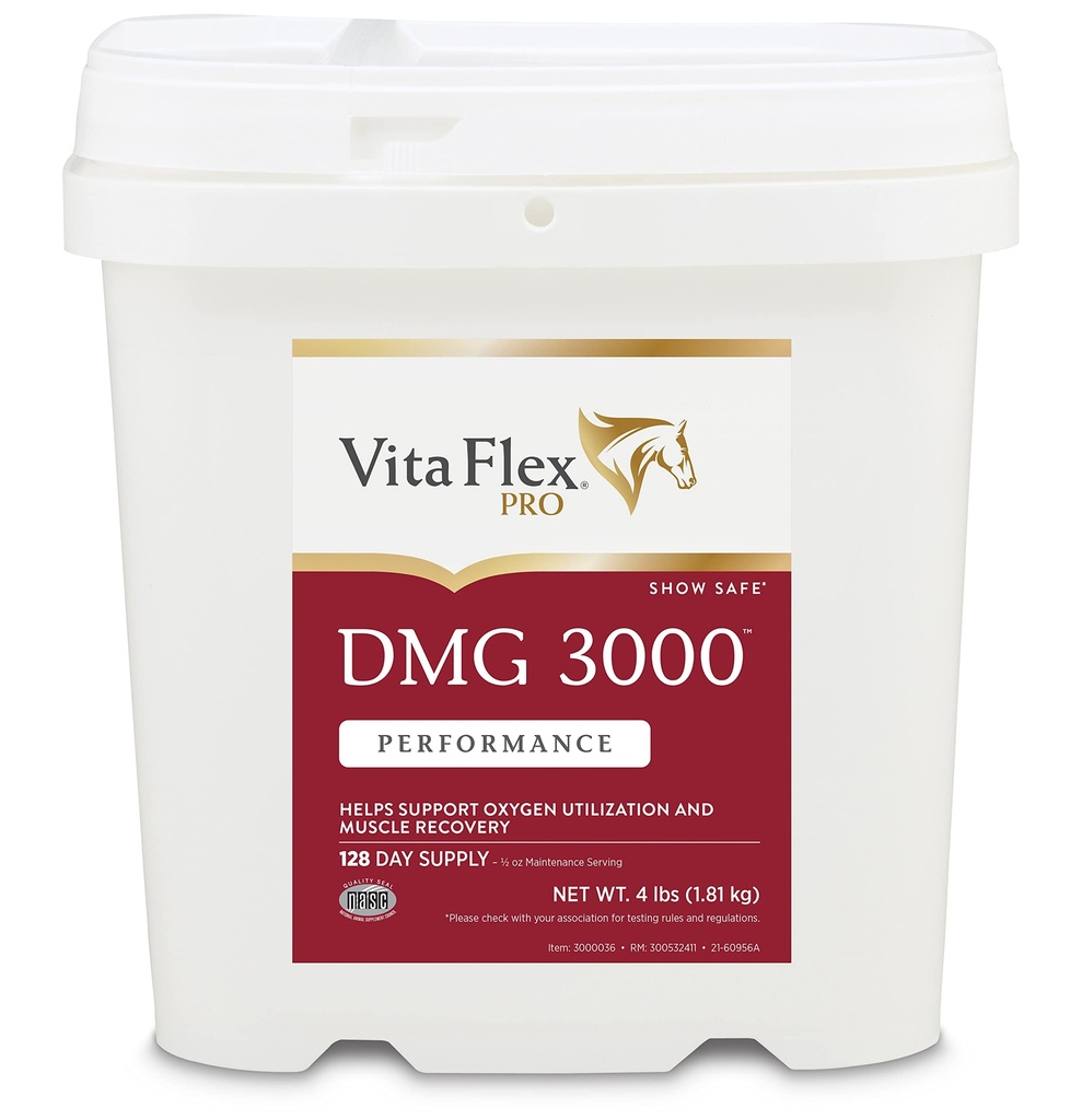 Vita Flex Pro DMG 3000 Horse DMG Concentrate, 4 lbs, 128-Day Supply