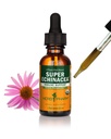 Herb Pharm Certified Organic Super Echinacea Extract lichid pentru suport activ al sistemului imunitar - 1 Once (DSUPER01)