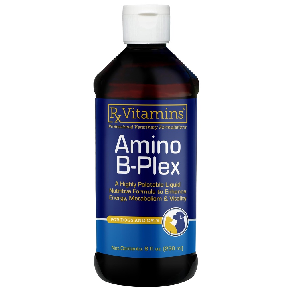 Rx Vitamine Amino B-Plex Cat & Dog Supliment - Vitamina B Complex lichid Plus Amino Acidi pentru câini și pisici - Apetit Booster și Cat & Dog Greutate Gainer - Suplimente & Vitamine - 8 oz