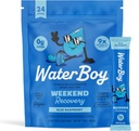 Waterboy Weekend Recovery | 3,200mg Electrolyte Powder Packets | Ginger + L-Theanine + Vitamins | No Sugar, All Natural, Gluten Free | 24 Drink Stick Mixes (Blue Raspberry)