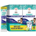 GuruNanda Hydramat Hydramat Support Drink Mix - Electrolit Pachete de pulbere pentru deshidratare, Exercitii & Energie - Fara indulcitori adaugati, non-GMO, aroma naturala de lamaie - 48 Conte (0,56 oz Each)