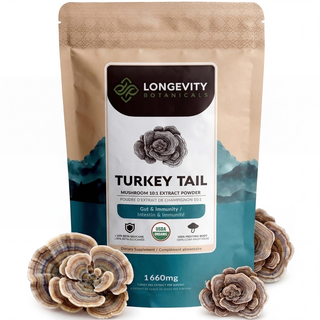 Organic Turcia Tail Mushroom pulbere Supliment 100g 