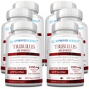 Știință aprobată Tribulus Terrestris - 360 capsule - Boosts Testosteron, Îmbunătățește performanța sportivă, susține creșterea și repararea musculare - 95% Furostanol Saponine - Bioperine - Vegan - 6 sticle