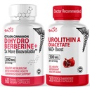 Fuziunile naturale Nutri Dihidrobererină (60 capsule) & Urolitina A Diacetat 500 mg supliment de rapel energetic
