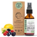 Organic ZINC Boost Mist 40 mg (Extra Putere) - Zahăr fără Vit C și extract de Elderberry - Spray lichid Vegan pentru copii și adulți - Absorbție ușoară - non-GMO - (60 ml) 60 zile de aprovizionare