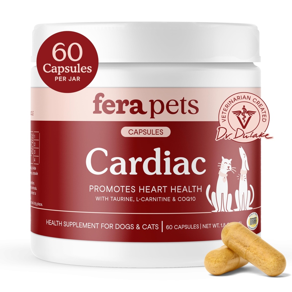 Fera Animale de companie Suport cardiac - Cat & Dog Suplimentul cardiac cu Taurină, L-Carnitina, & CoQ10 - Promovează Circulație normală și Heartbeat - 60 capsule