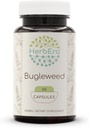 HerbEra Bugleweed 60 capsule, 400 mg, fabricate cu burduf (Lycopus Virginicus) Herb uscat (60 capsule)
