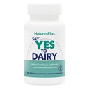 Naturas Plus spune da la lactate - 50 comprimate masticabile - naturale Lactase Enzime Supliment, puterea maximă Digestive Ajutor, Lactoză Intoleranță Ajutor - Gluten-Free - 50 Serviri
