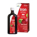 Hübner Iron Vital lichid de fier de alimentare Plus vitamina C, Supliment alimentar pentru adulți și copii, Vegan și gluten-free, Aroma de fructe, 250 ml Sticla, 25 Serviri
