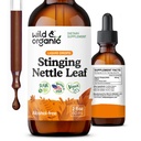Picăturile de extract de frunze de Nettle Stinging Wild & Organic - Suportul pentru tractul urinar - Suplimentul pentru Nettle Stinging lichid - Urtica Dioica Tincture - 2 Month Supply - Vegan, Sugar & Alcohol-Free - 2 fl oz