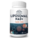1600 mg Liposomal NAD Supliment, 98% Pure NAD+ Supliment, Absorbţie superioară, Alternative la Nicotinamidă Ribozid sau NADH la stimularea NAD+ pentru Aging Defense, Energie, Longevity,60 Softgels